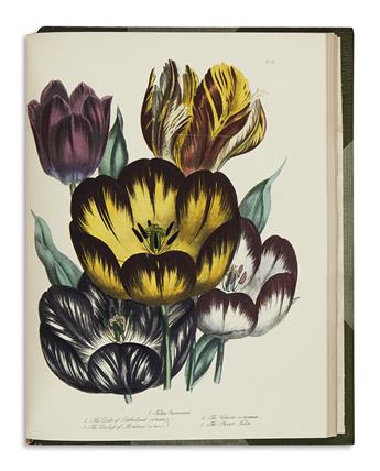 (BOTANICAL.) Loudon, Jane Wells. The Ladies Flower Garden; [and] British Wild Flowers.